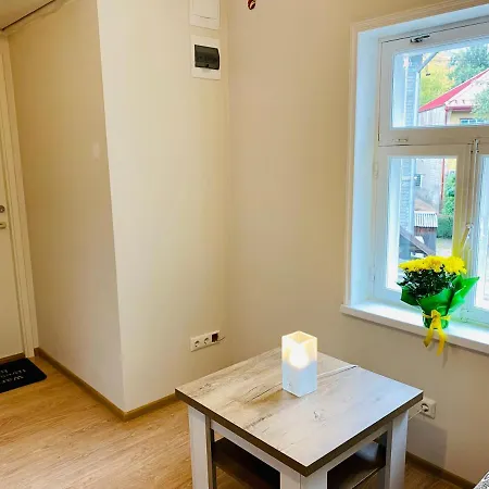 Cozy Downtown Studio Korter *